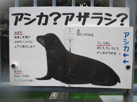 浜松市動物園公式サイト わくわく はまｚｏｏ Npo法人浜松市動物園協会