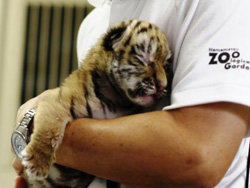 浜松市動物園公式サイト わくわく はまｚｏｏ Npo法人浜松市動物園協会