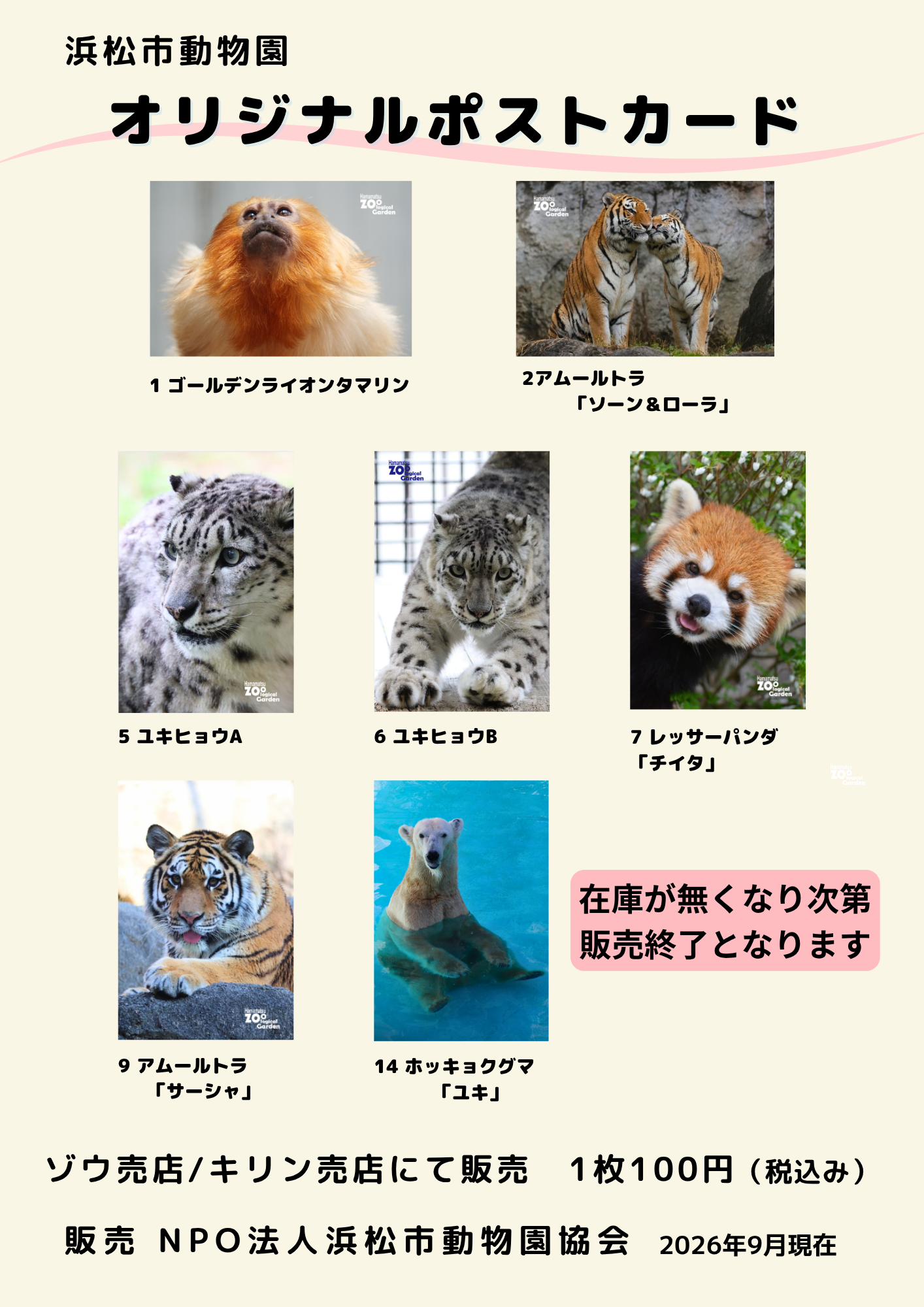 オリジナルポストカード