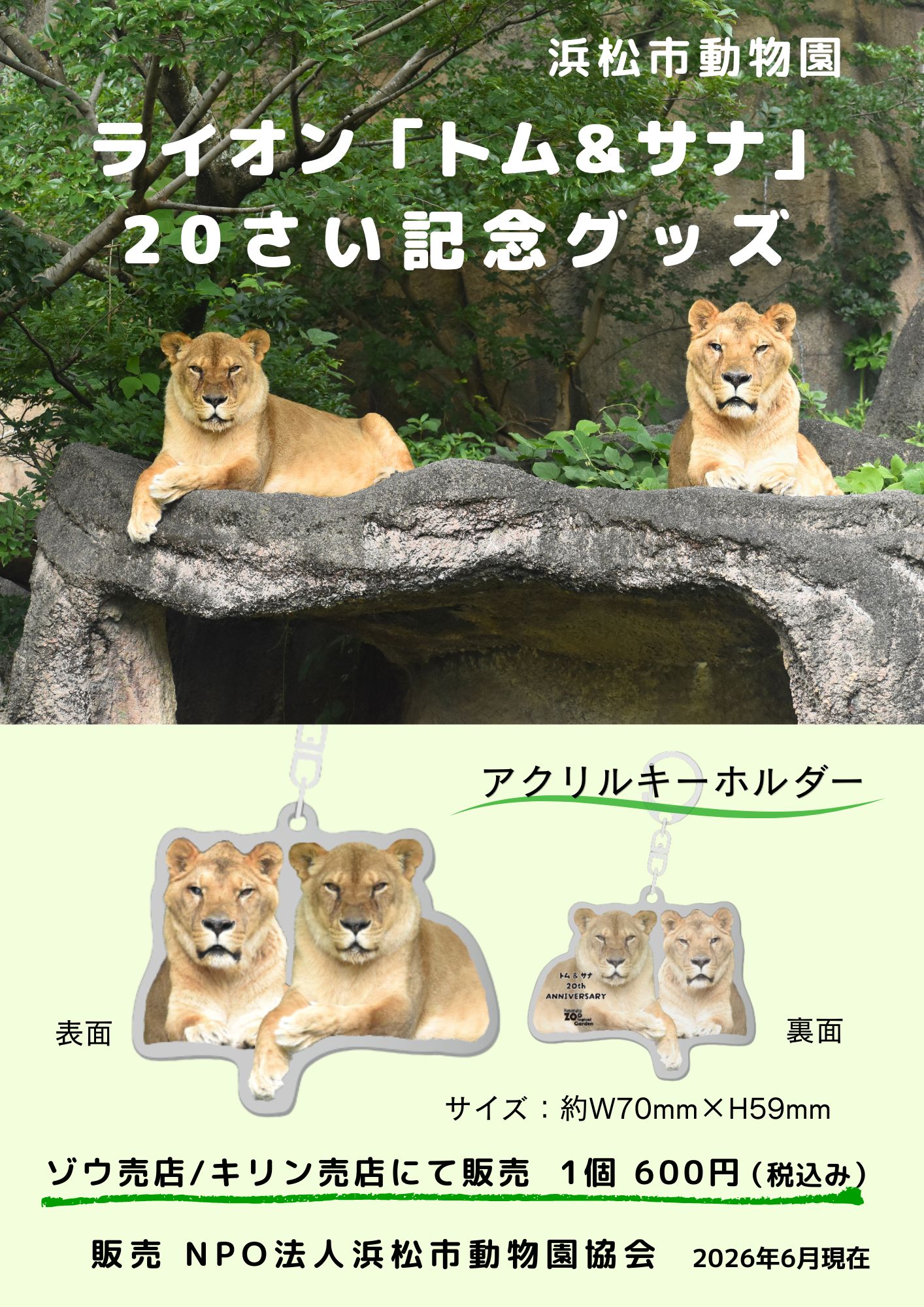 アクキーライオントムサナ