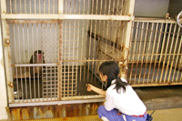 入院動物の管理 入院動物の管理